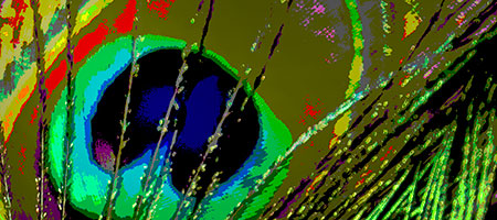 evil eye, peacock feather, deb desmond meserve,kennebunk maine