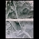 Ice on a glass window pane